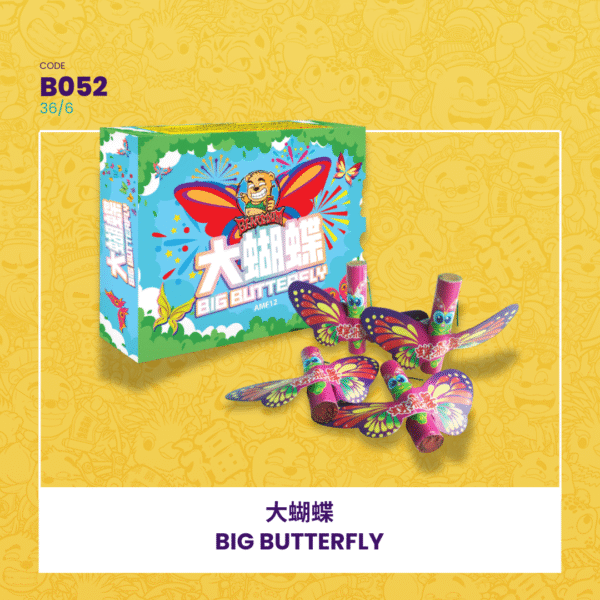 BIG BUTTERFLY 大蝴蝶